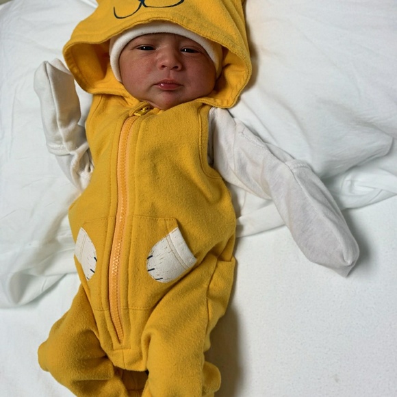 Meet your Posher, Jasmin - Picture 1 of 1